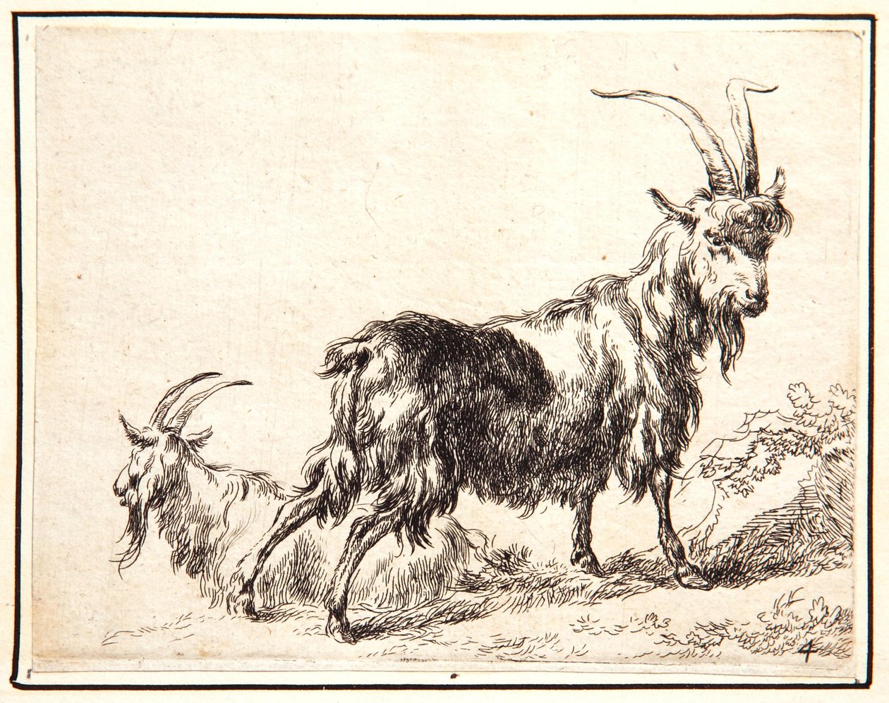 Kozy autorstwa Nicolaes Pietersz. Berchem