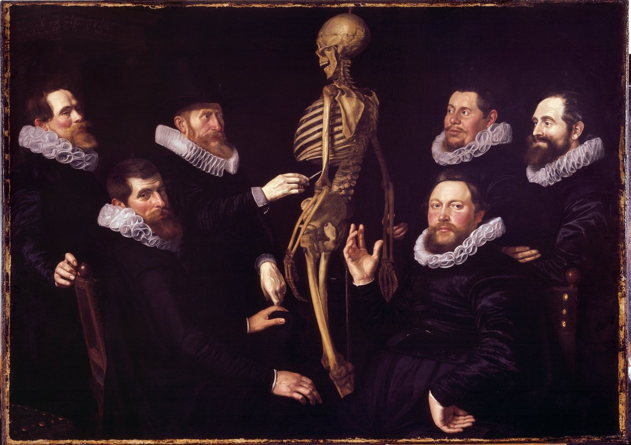 Lekcja anatomii dr. Sebastiana Egbertsza. Wolny autorstwa Nicolaes  Eliasz