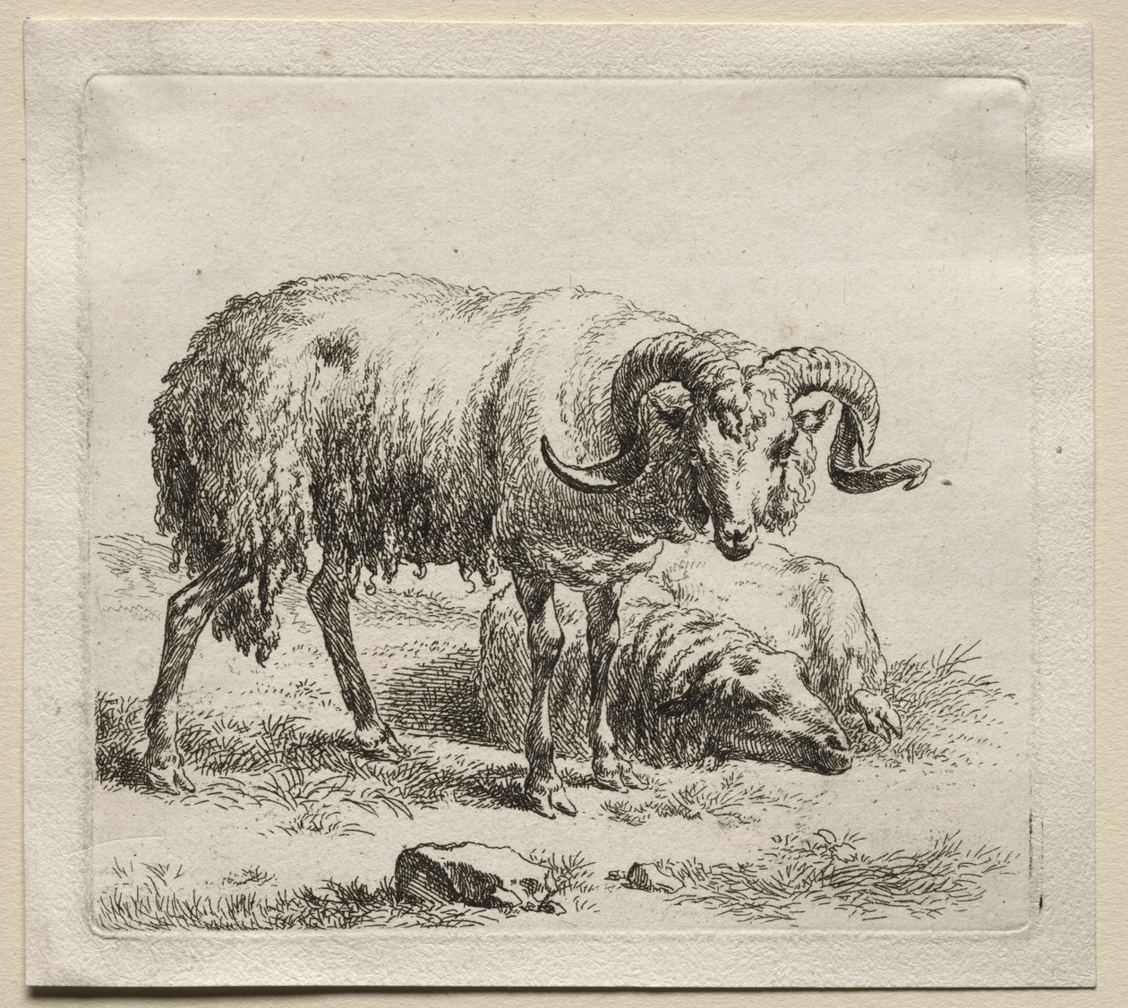 Animalia: Baran i owca autorstwa Nicolaes Berchem