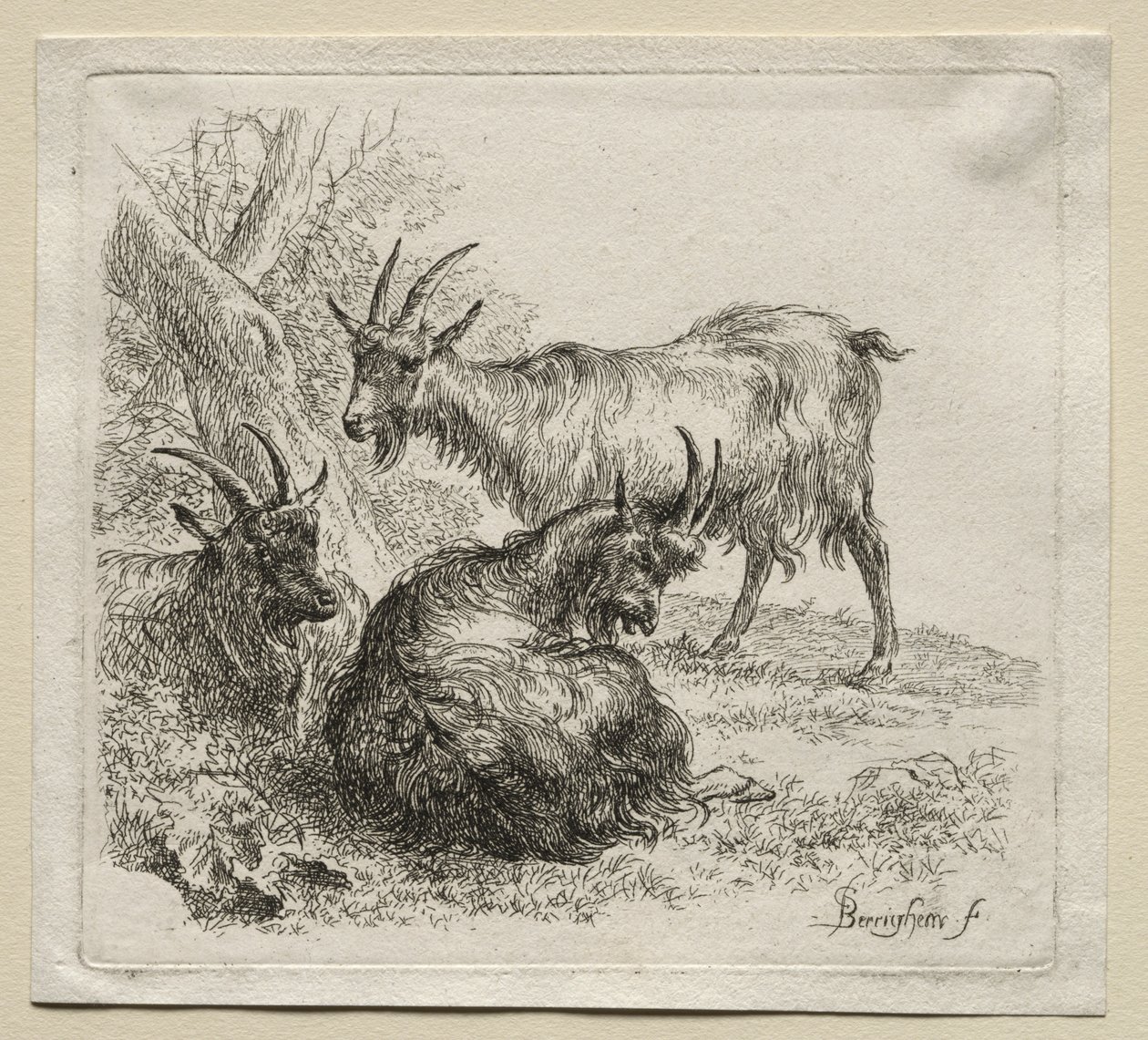 Animalia: trzy kozy autorstwa Nicolaes Berchem