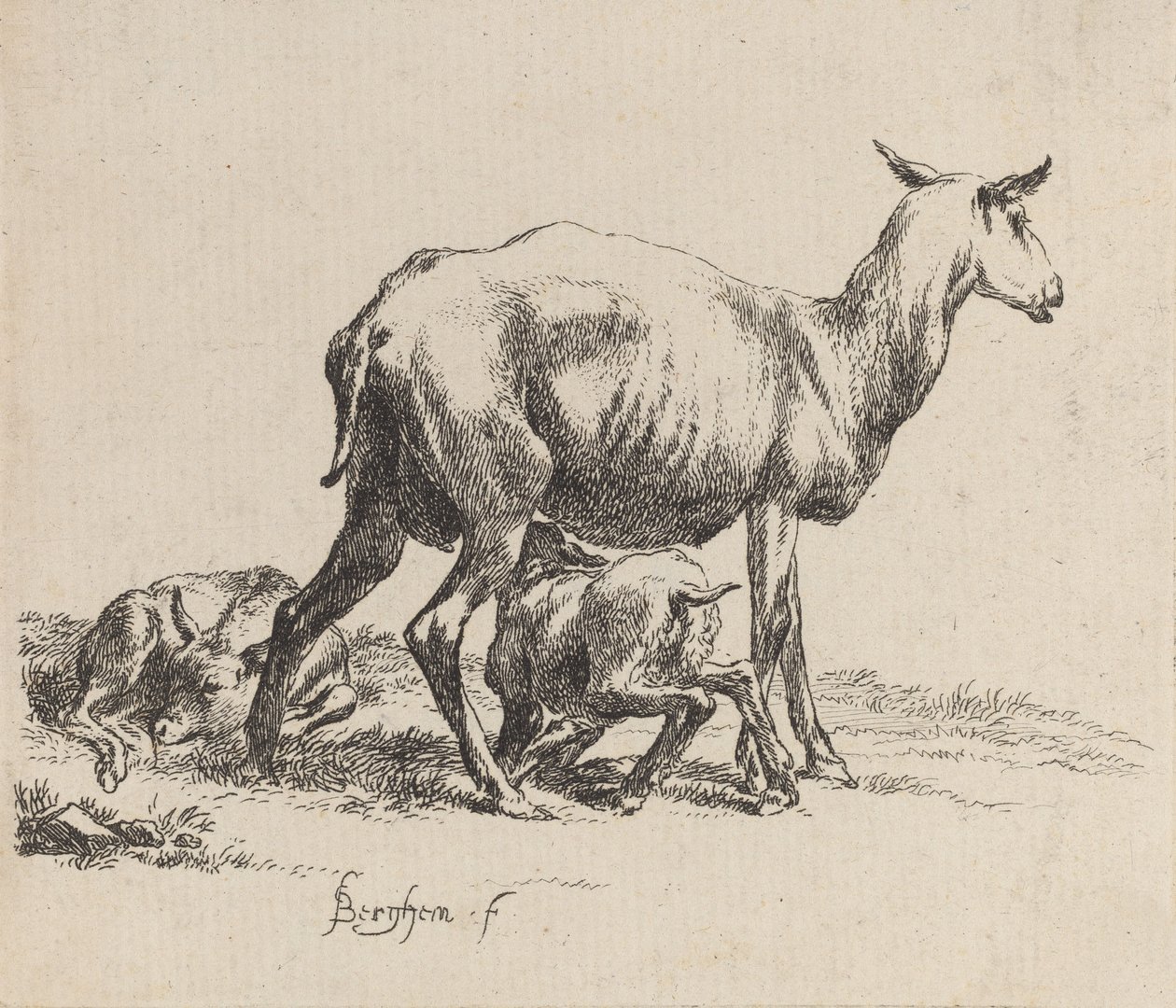 Ewe karmiąca swoją owieczkę. autorstwa Nicolaes Berchem