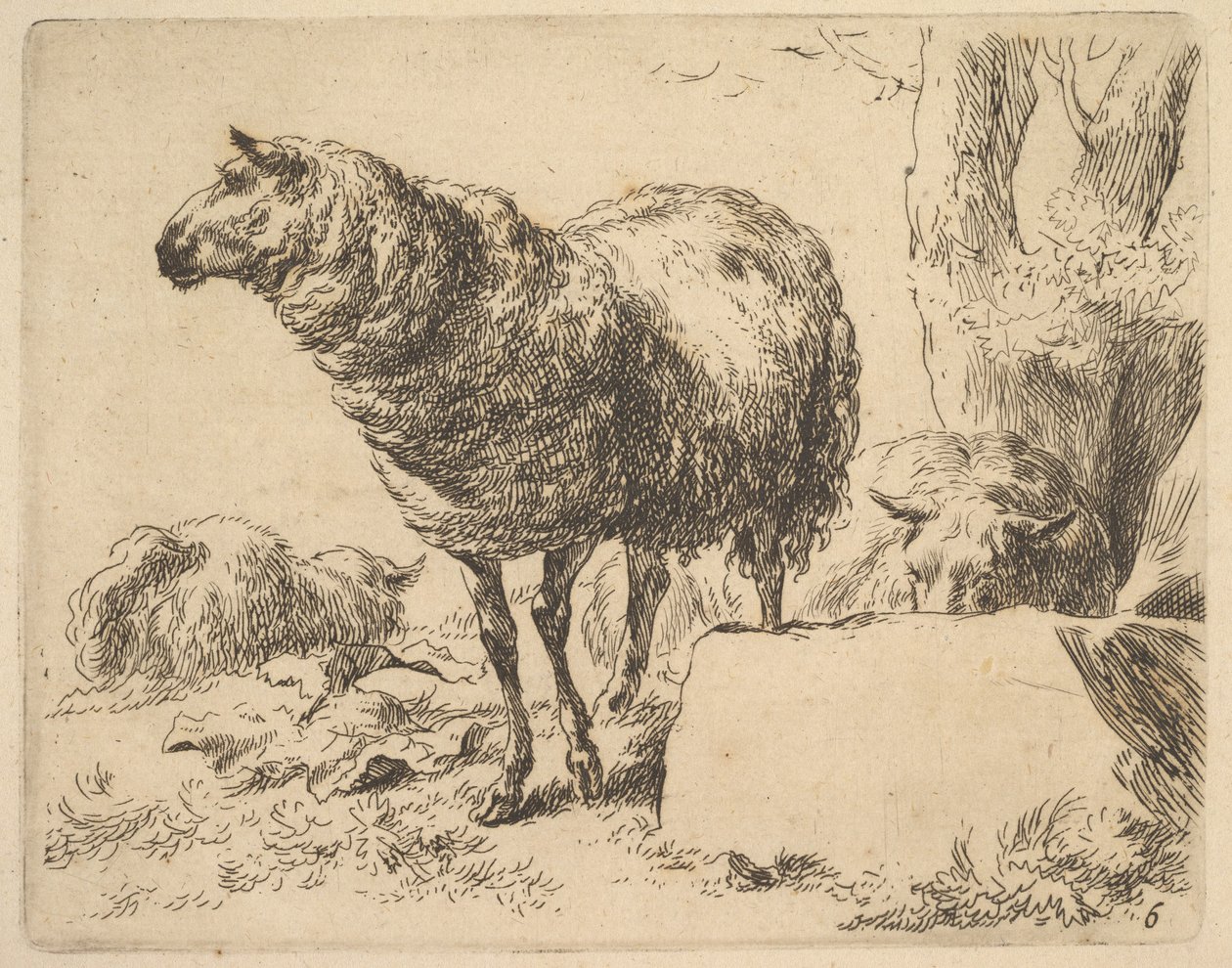 z Zestawu owiec. autorstwa Nicolaes Berchem