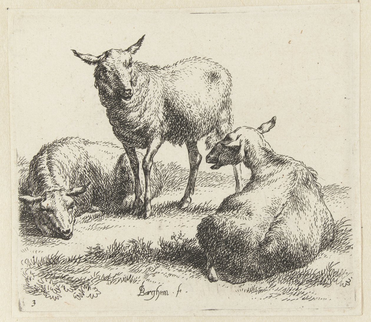 Osusz owce Schapen (tytuł serii) Zwierzęta ożywione i wydrukowane wodą na mocne powietrze przez Pracownię i Sztuka Nicolai Berchema (tytuł serii) autorstwa Nicolaes Pietersz Berchem