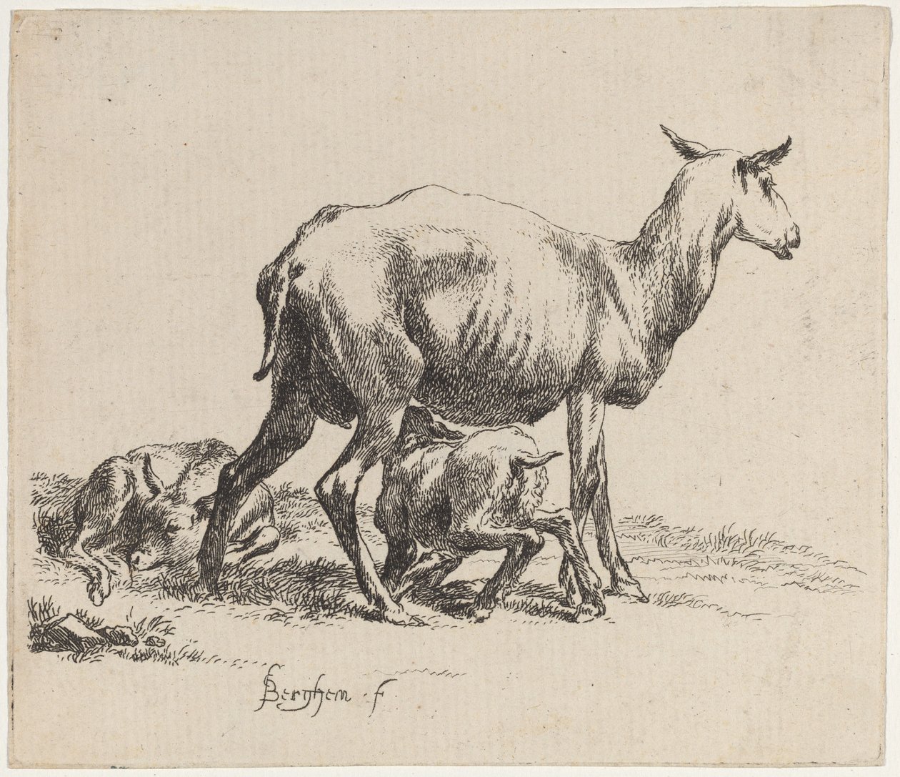 Ewe karmiąca swoją owieczkę autorstwa Nicolaes Pietersz Berchem
