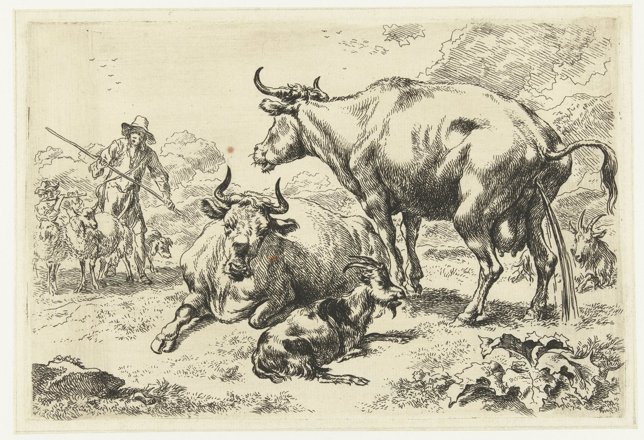 Leżąca i sikająca krowa Zwierzęta (tytuł serii) autorstwa Nicolaes Pietersz Berchem