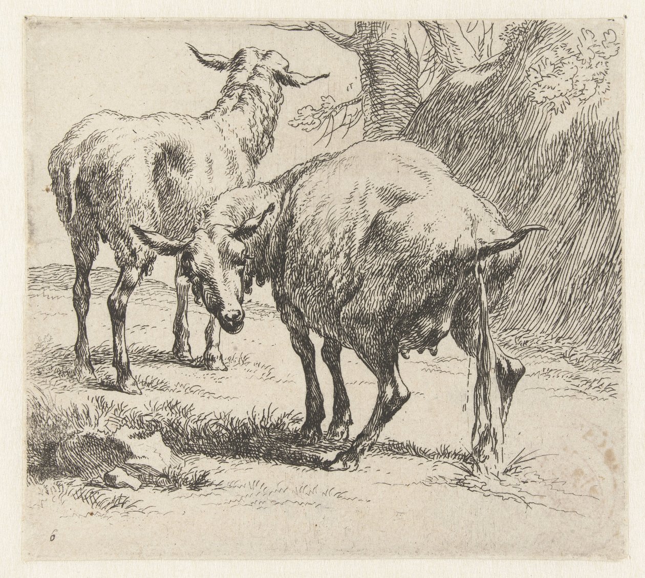 Pissende ooi en een schaap Schapen (tytuł serii) Zwierzęta ożywione i wydrukowane wodą na mocne powietrze przez Pracownię i Sztuka Nicolai Berchema (tytuł serii) autorstwa Nicolaes Pietersz Berchem