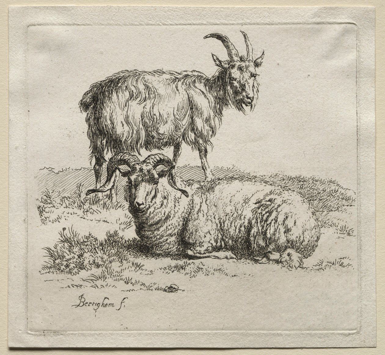 Baran i koza. autorstwa Nicolaes Pietersz. Berchem