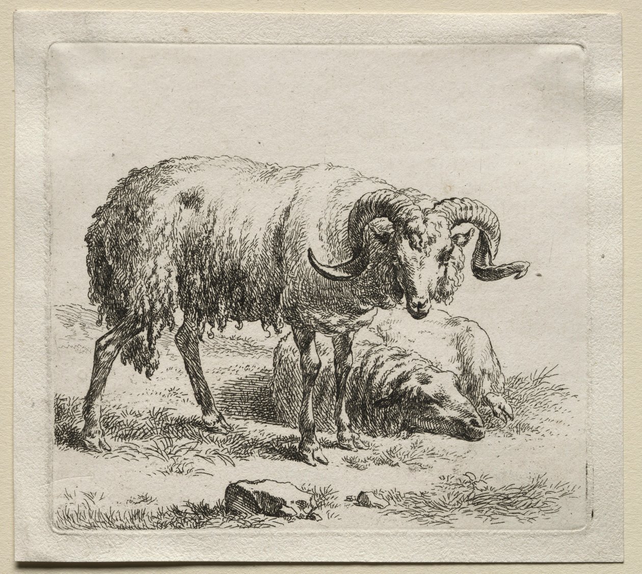 Baran i owca. autorstwa Nicolaes Pietersz. Berchem