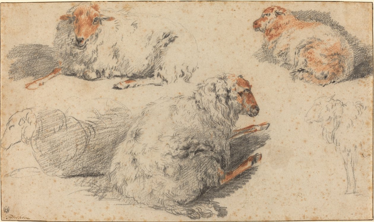 Owce autorstwa Nicolaes Pietersz Berchem