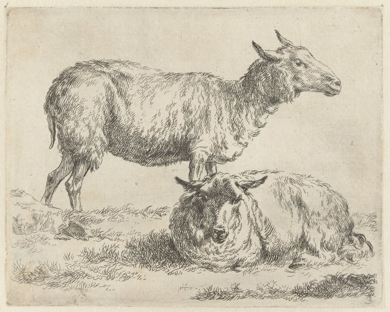 Staand en liggend schaap Schapen (tytuł serii) Zwierzęta ożywione i wydrukowane w wodzie mocnym powietrzem przez Pracownię i Sztuka Nicolai Berchem (tytuł serii) autorstwa Nicolaes Pietersz Berchem