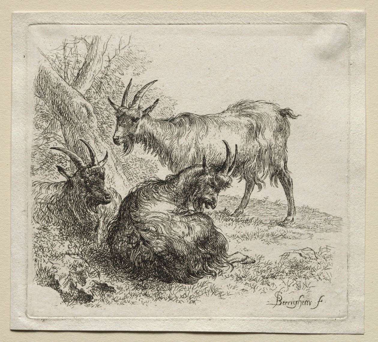 Trzy kozy. autorstwa Nicolaes Pietersz. Berchem