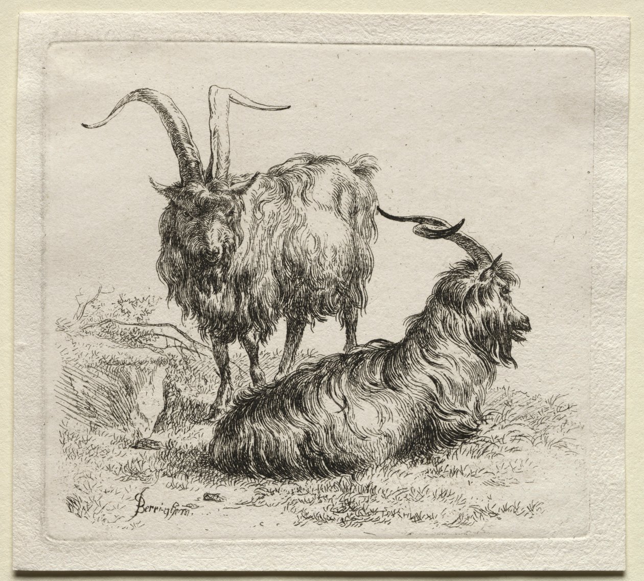 Dwie kozy. autorstwa Nicolaes Pietersz. Berchem