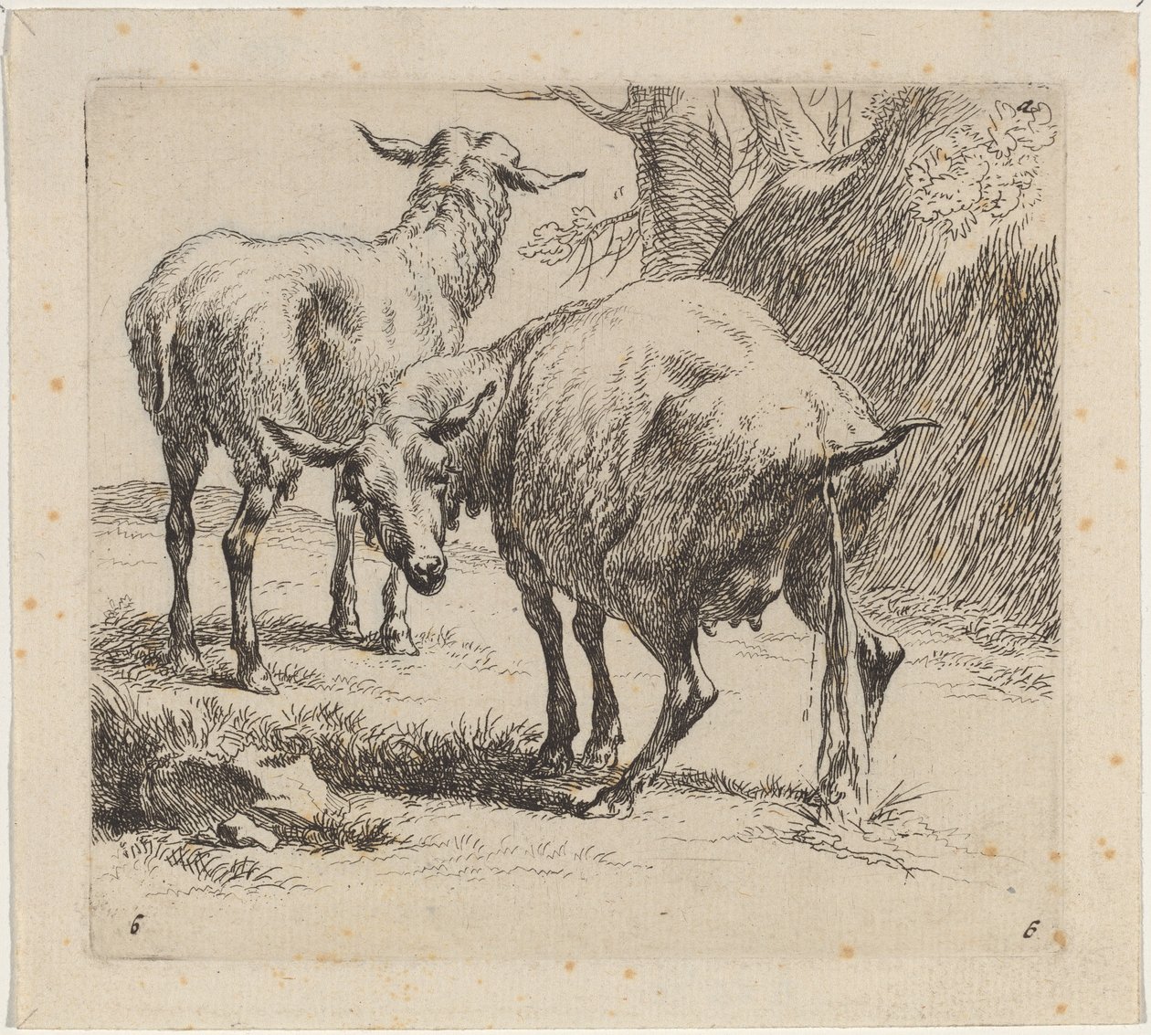 Dwie owce, jedna sika autorstwa Nicolaes Pietersz Berchem