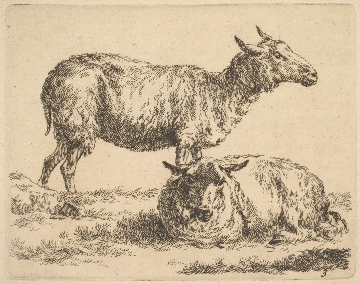 z Zestawu owiec. autorstwa Nicolaes Pietersz. Berchem