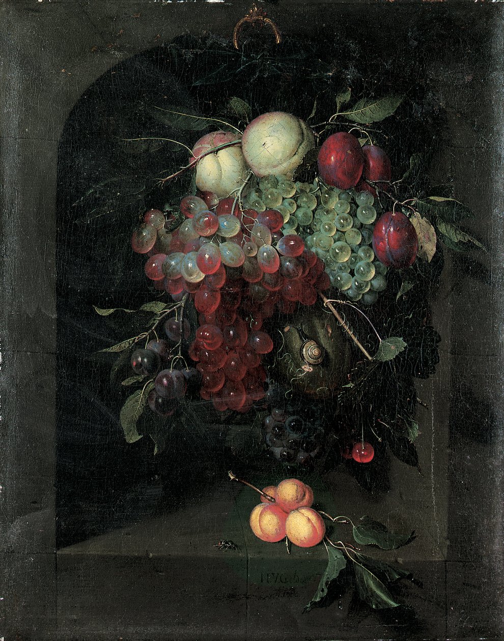 Winogrona, brzoskwinie, śliwki i wiśnie ze ślimakiem w kamiennej niszy z kiścią moreli i pszczołą na półce, 1666 autorstwa Nicolaes Van Gelder