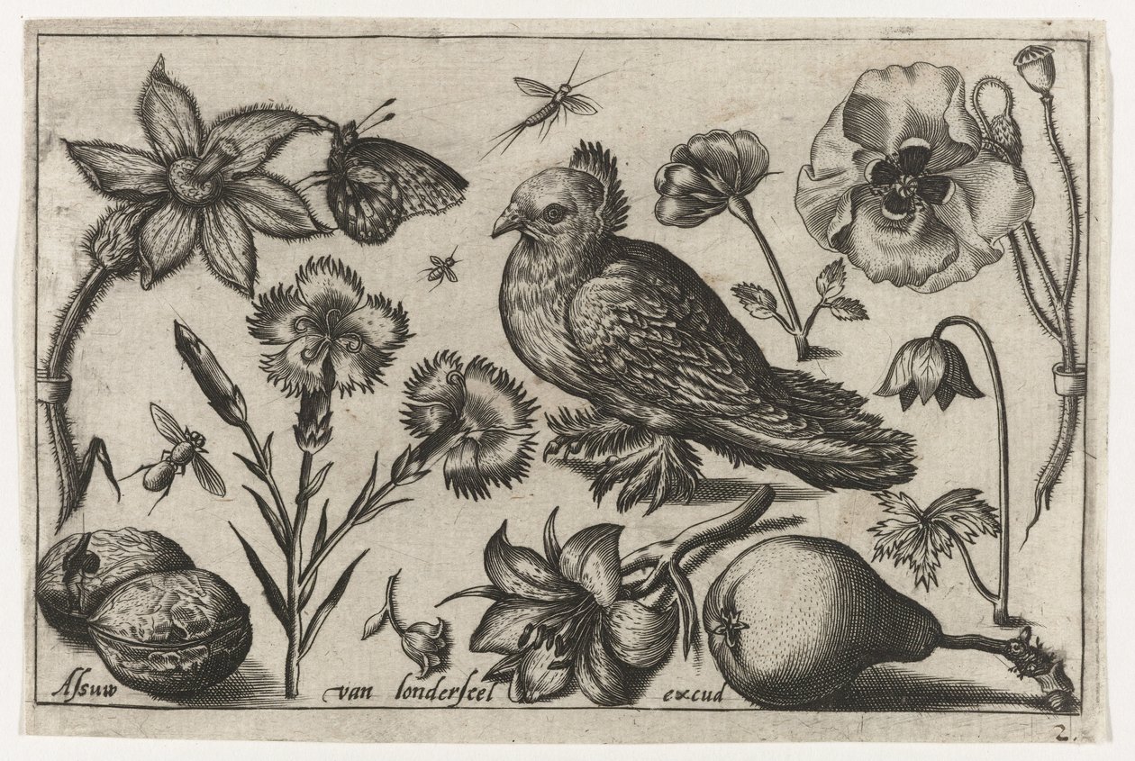 Kwiaty, gruszka i gołąb Ptaki, kwiaty, owady itp. (tytuł serii) autorstwa Nicolaes de Bruyn (possibly)