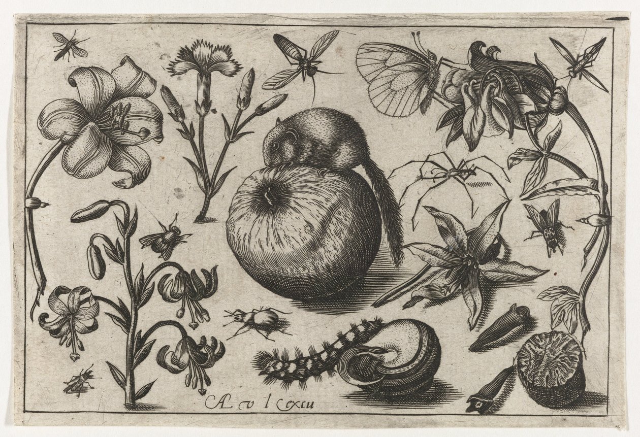 Kwiaty i mysz na jabłku Ptaki, kwiaty, owady itp. (tytuł serii) autorstwa Nicolaes de Bruyn (possibly)