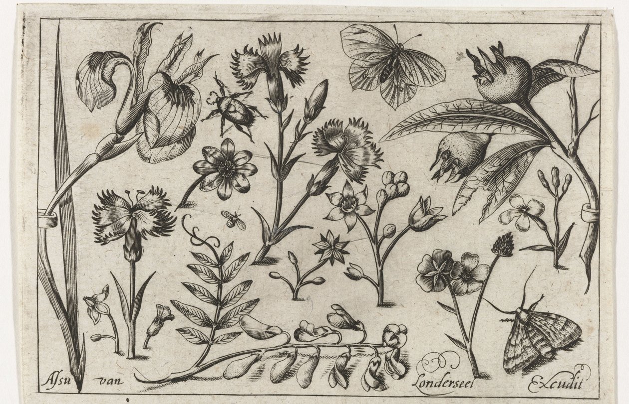 Kwiaty i motyle Ptaki, kwiaty, owady itp. (tytuł serii) autorstwa Nicolaes de Bruyn (possibly)