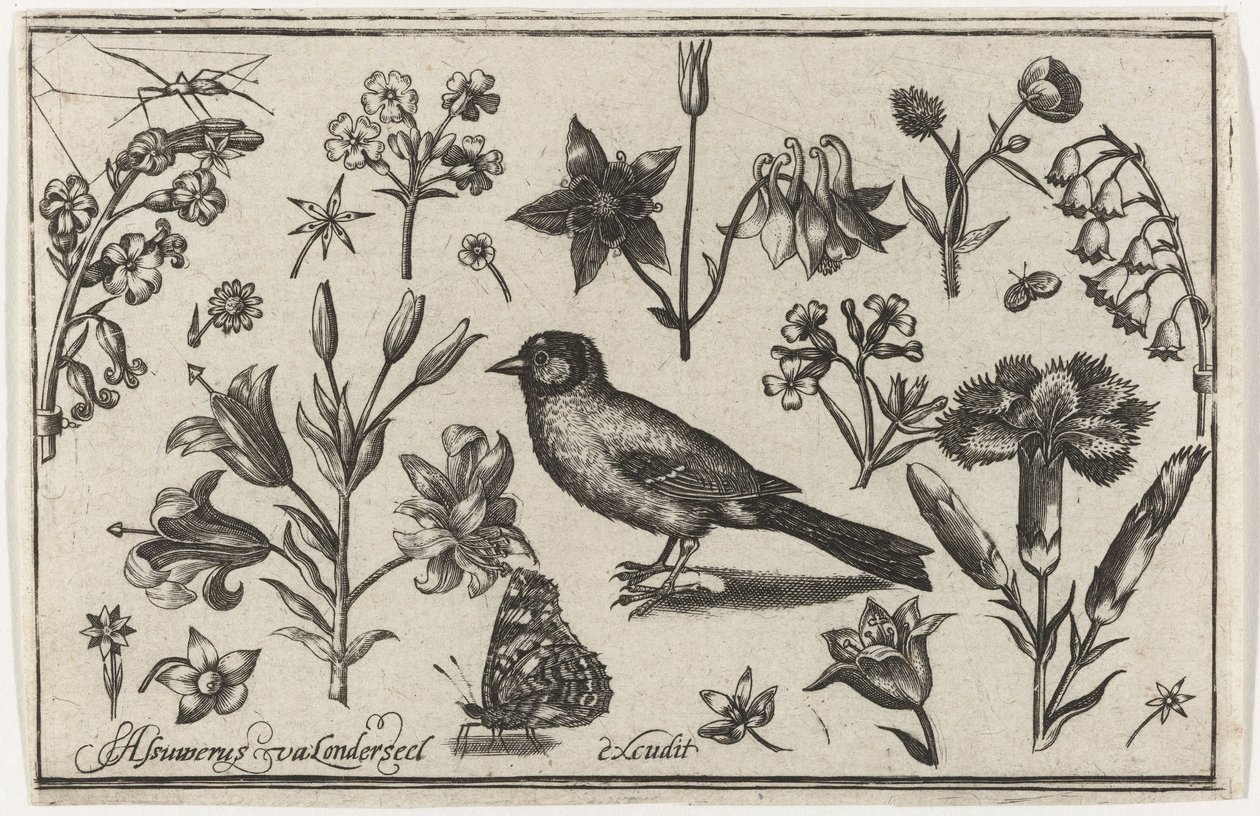 Kwiaty, motyl i ptak Ptaki, kwiaty, owady itp. (tytuł serii) autorstwa Nicolaes de Bruyn (possibly)