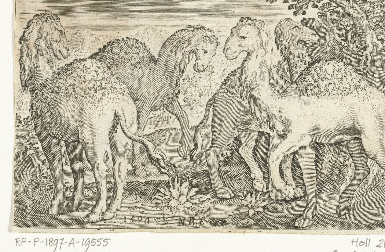 Cztery dromadery Animalivm qvadrvpedvm (tytuł serii) Zwierzęta w krajobrazach (tytuł serii) autorstwa Nicolaes de Bruyn