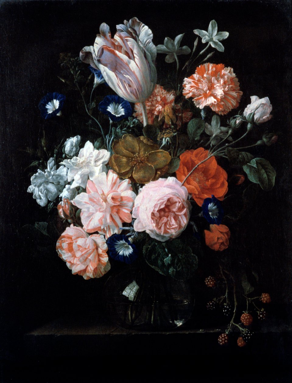 Tulipan, goździki i poranna chwała w szklanym wazonie, XVII wiek. autorstwa Nicolaes van Veerendael