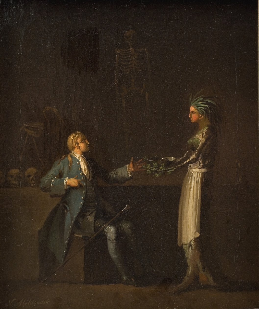 Żona lekarza ujawnia zamiary męża dotyczące anatomii Niels Klim autorstwa Nicolai Abildgaard