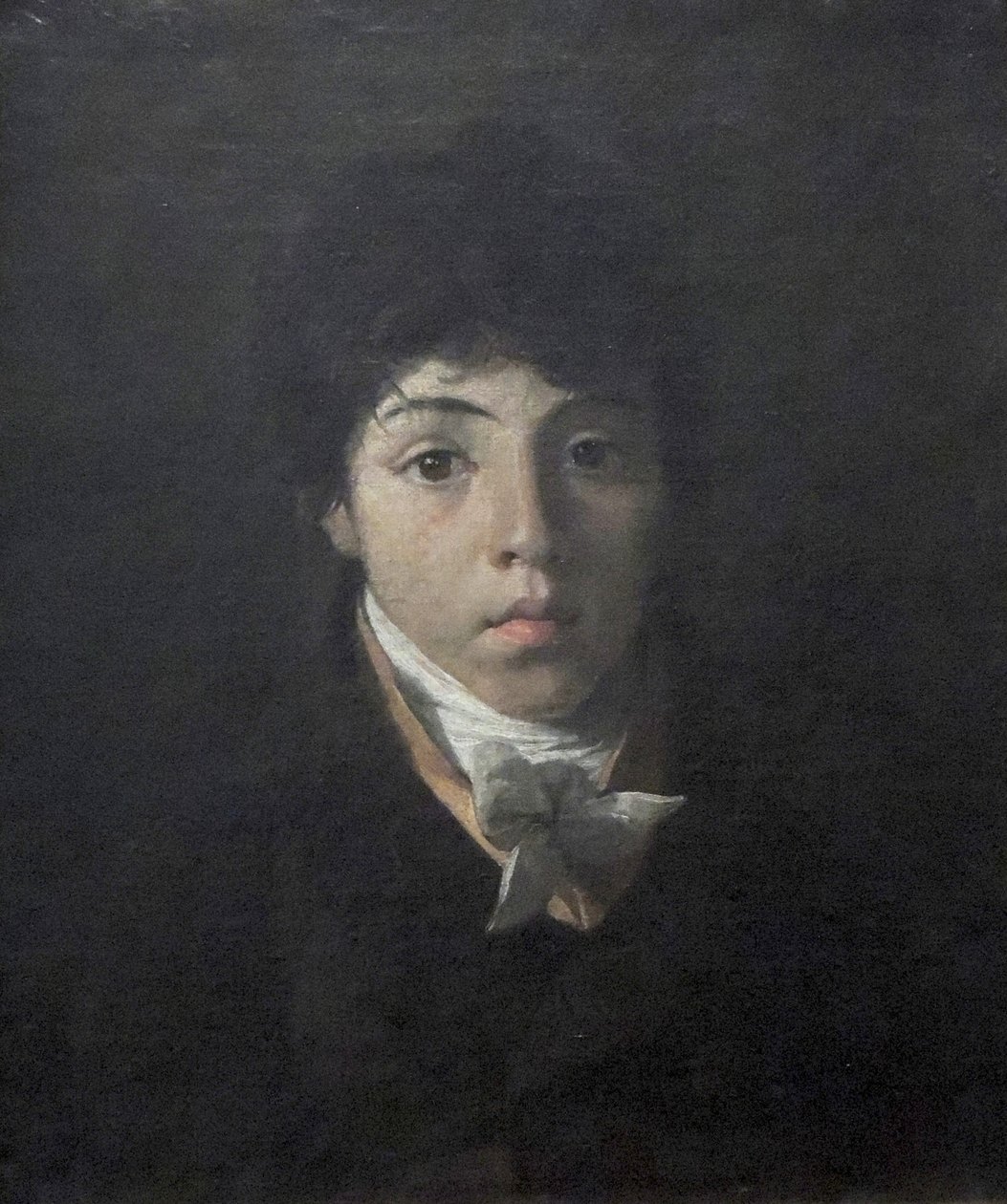 Portret młodego Teodoro Taunay autorstwa Nicolas Antoine Taunay