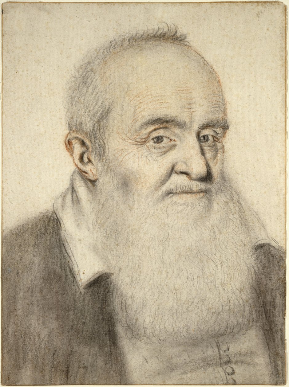 Głowa brodatego mężczyzny (kreda kolorowa na papierze) autorstwa Nicolas Lagneau or Lanneau