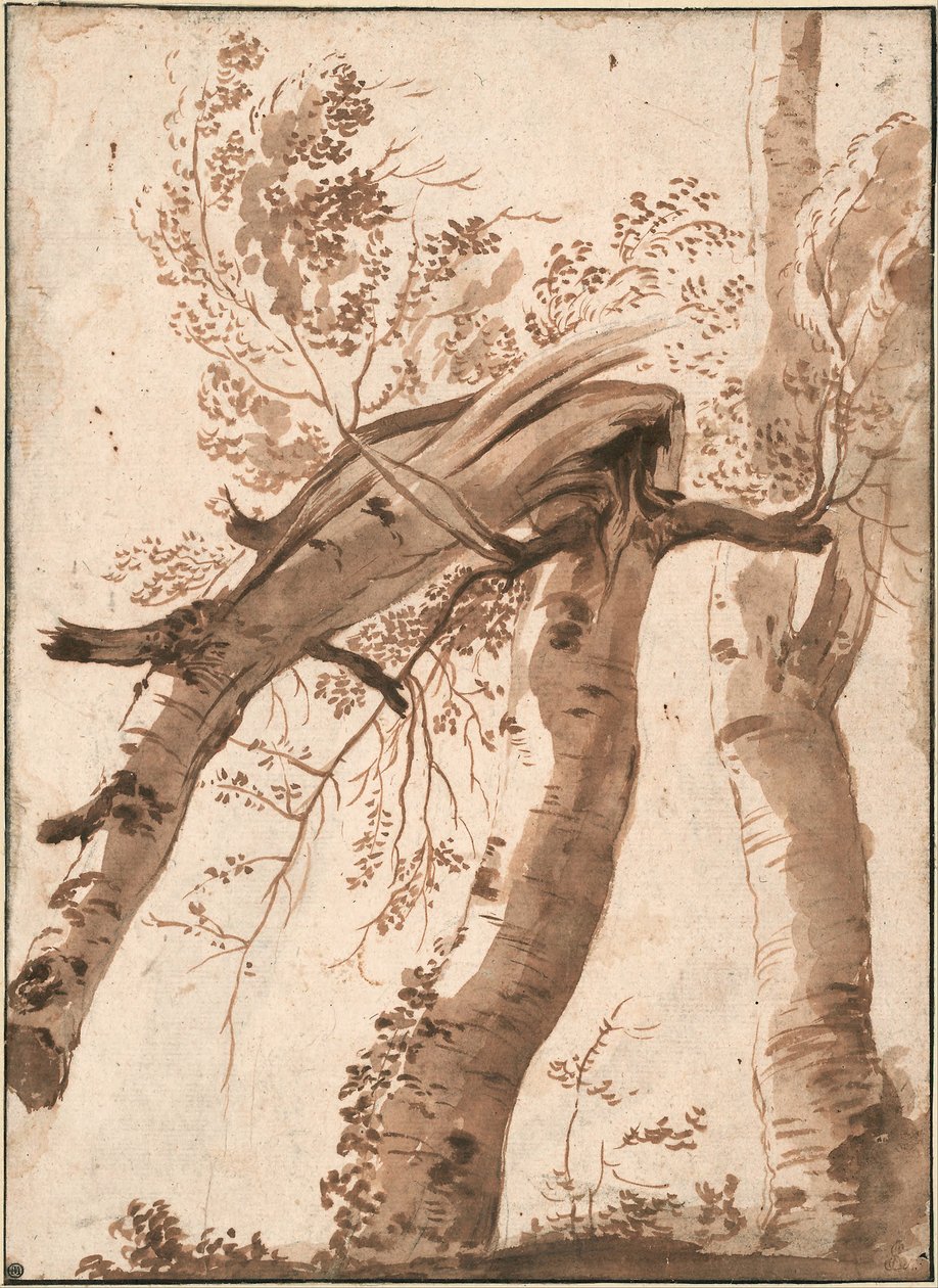 Dwie brzozy srebrzyste, front jeden powalony, ok. 1930 r. 1629 autorstwa Nicolas Poussin
