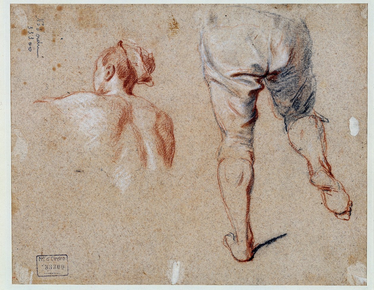 Studium anatomii Rysunek olejny Nicolasa Vleughelsa (1668-1737) XVIII-wieczny Paryż, Luwr autorstwa Nicolas Vleughels