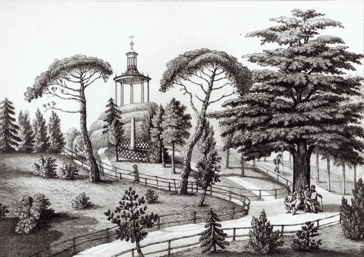 Labirynt z Jardin des Plantes w Paryżu, rytowany przez Francois Aubertin (177383-1821) autorstwa Nicolas the Younger Huet