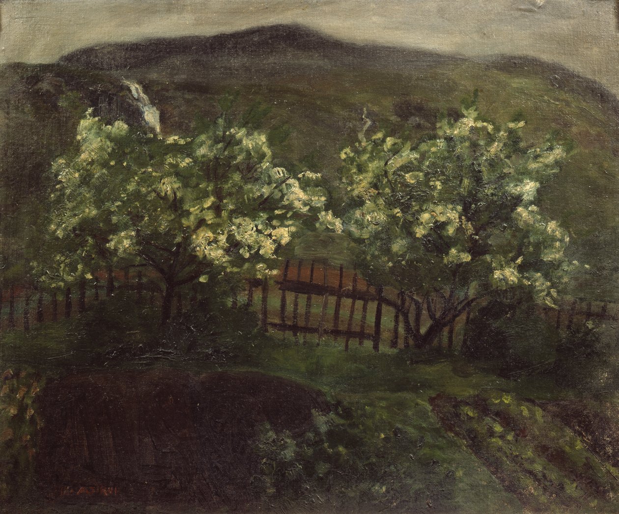 Wiosenny deszcz i wiśnia autorstwa Nikolai Astrup