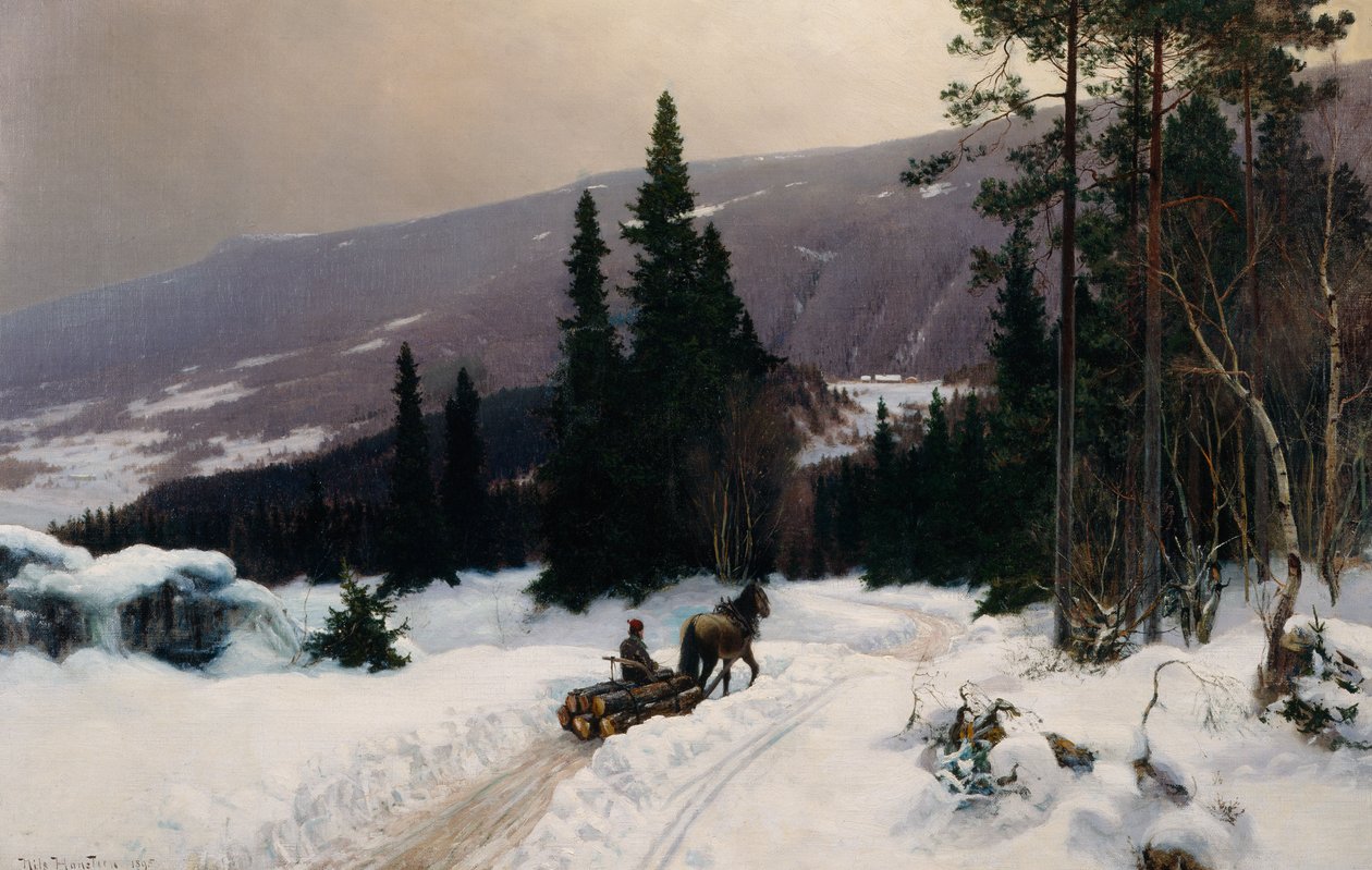 Zima autorstwa Nils Hansteen