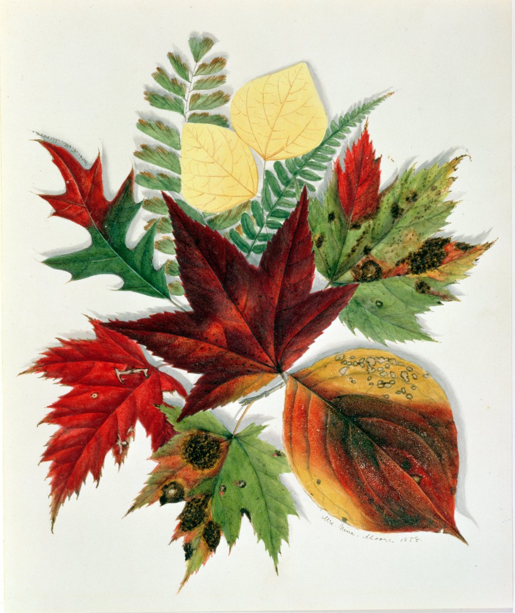 Jesienne liście, 1858 (wc na papierze) autorstwa Nina Moore