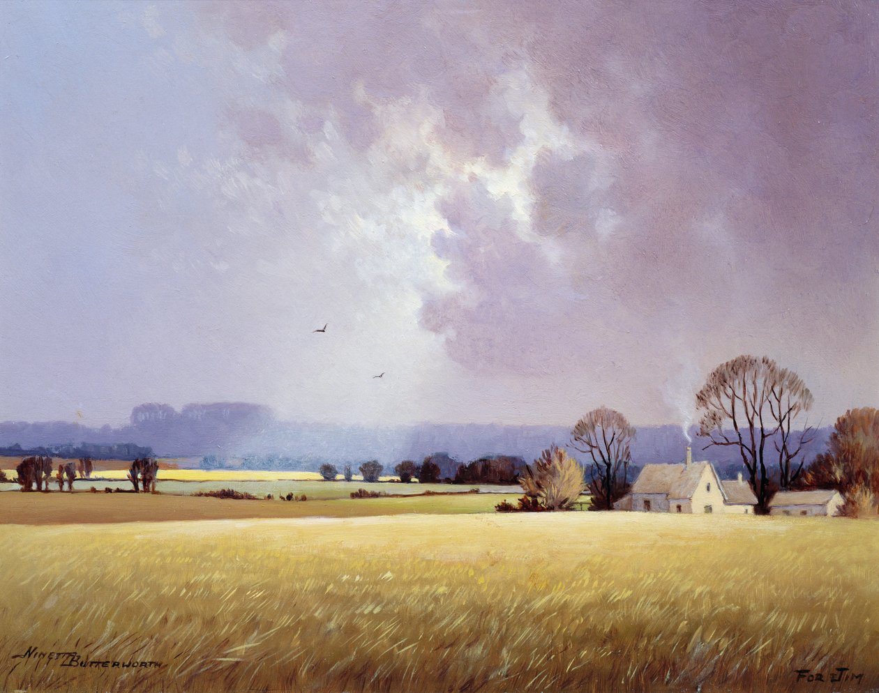 Jesienne słońce, 1982 autorstwa Ninetta Butterworth