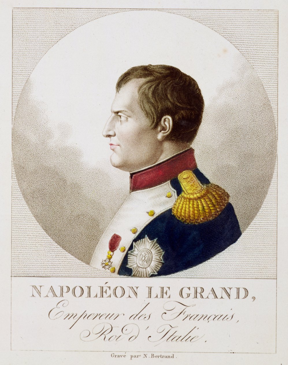 Portret Napoleona autorstwa Noel Francois Bertrand