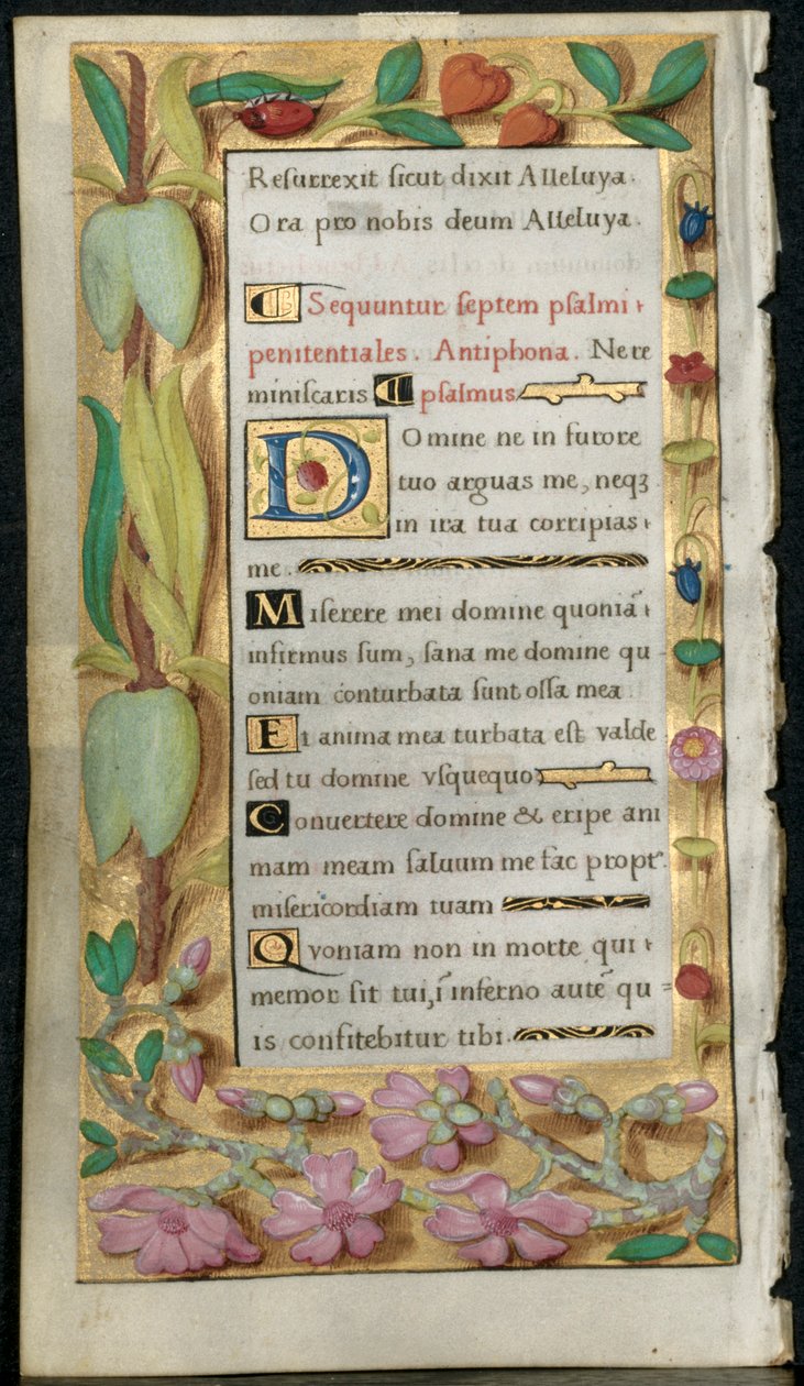 Kartka z Księgi Godzin: Psalmy pokutne, c. 1530-1535. autorstwa Noel Bellemare