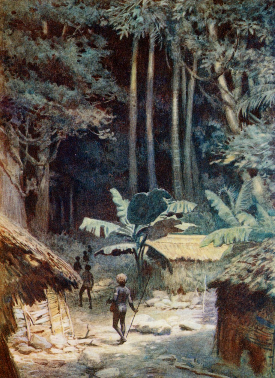 W głębi melanezyjskiego lasu, 1908 autorstwa Norman Hardy