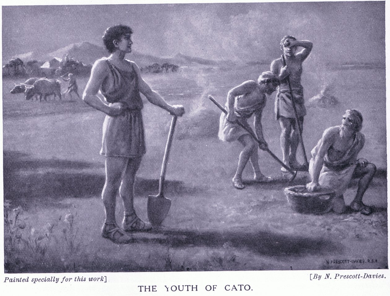 Młodzież Cato autorstwa Norman Prescott Davies