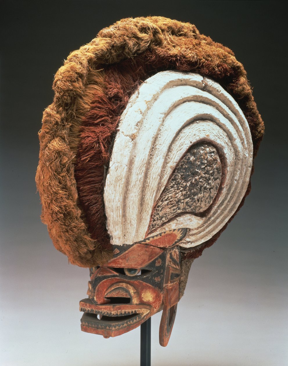 Maska na hełm (tatanua), Nowa Irlandia Północna, Papua Nowa Gwinea, 1884-95 (drewno, farba, muszle operkuli, tynk wapienny, włókno roślinne, kora, płótno z kory, rattan i sznur) (patrz także 169883) autorstwa Oceanic