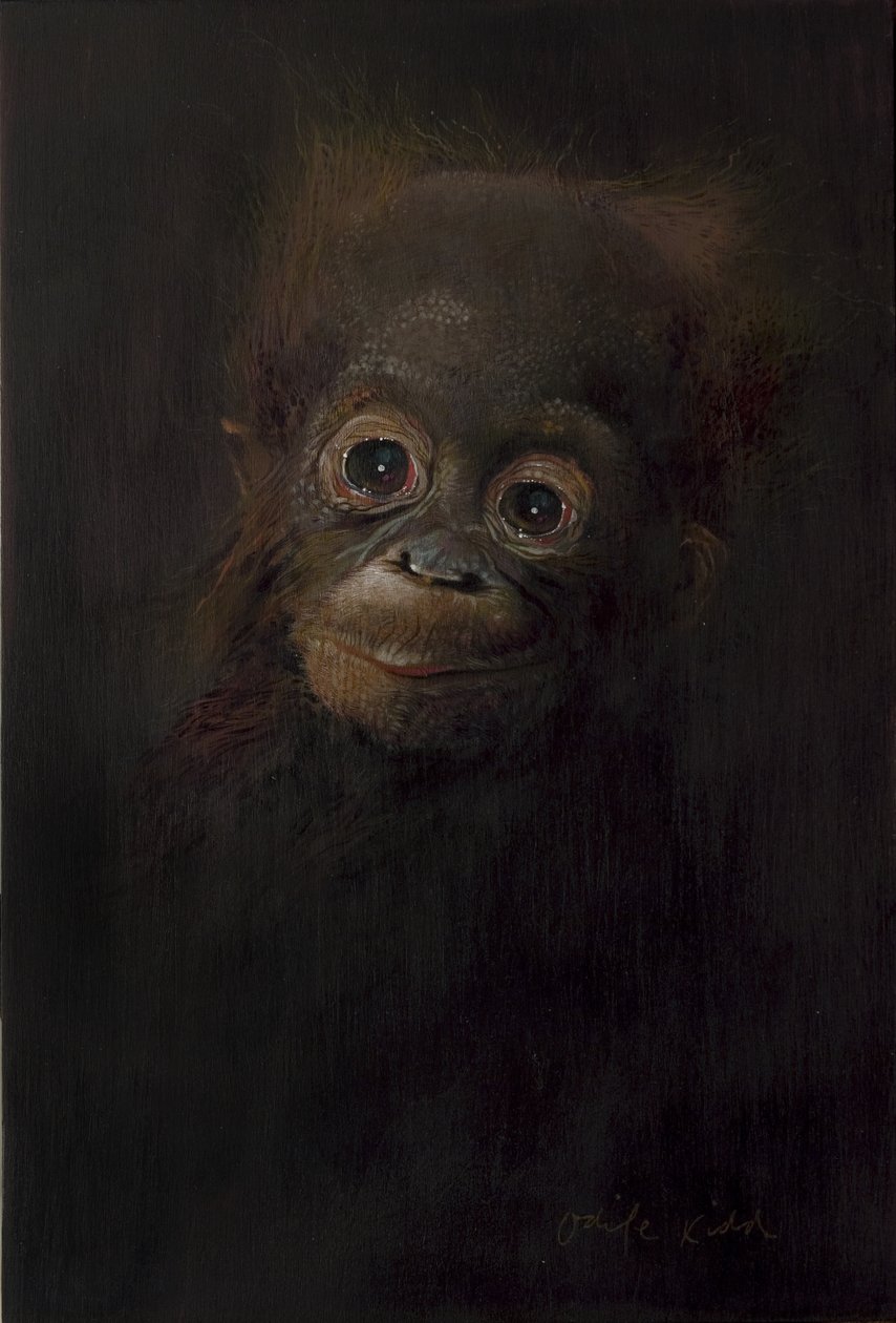 Mały orangutan 1, 2009 (akryl na drewnie) autorstwa Odile Kidd