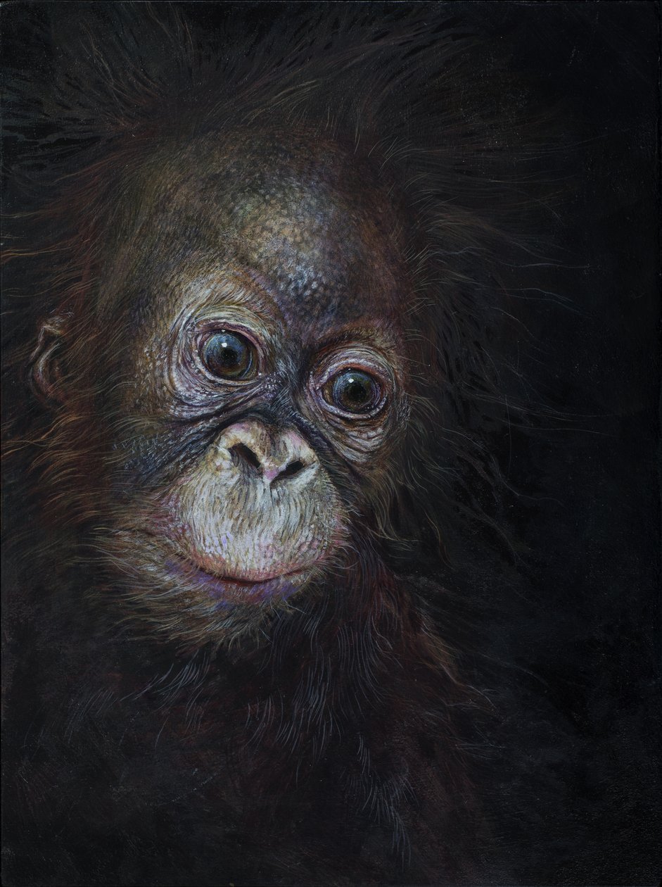 Mały orangutan 3, 2015 (akryl na drewnie) autorstwa Odile Kidd