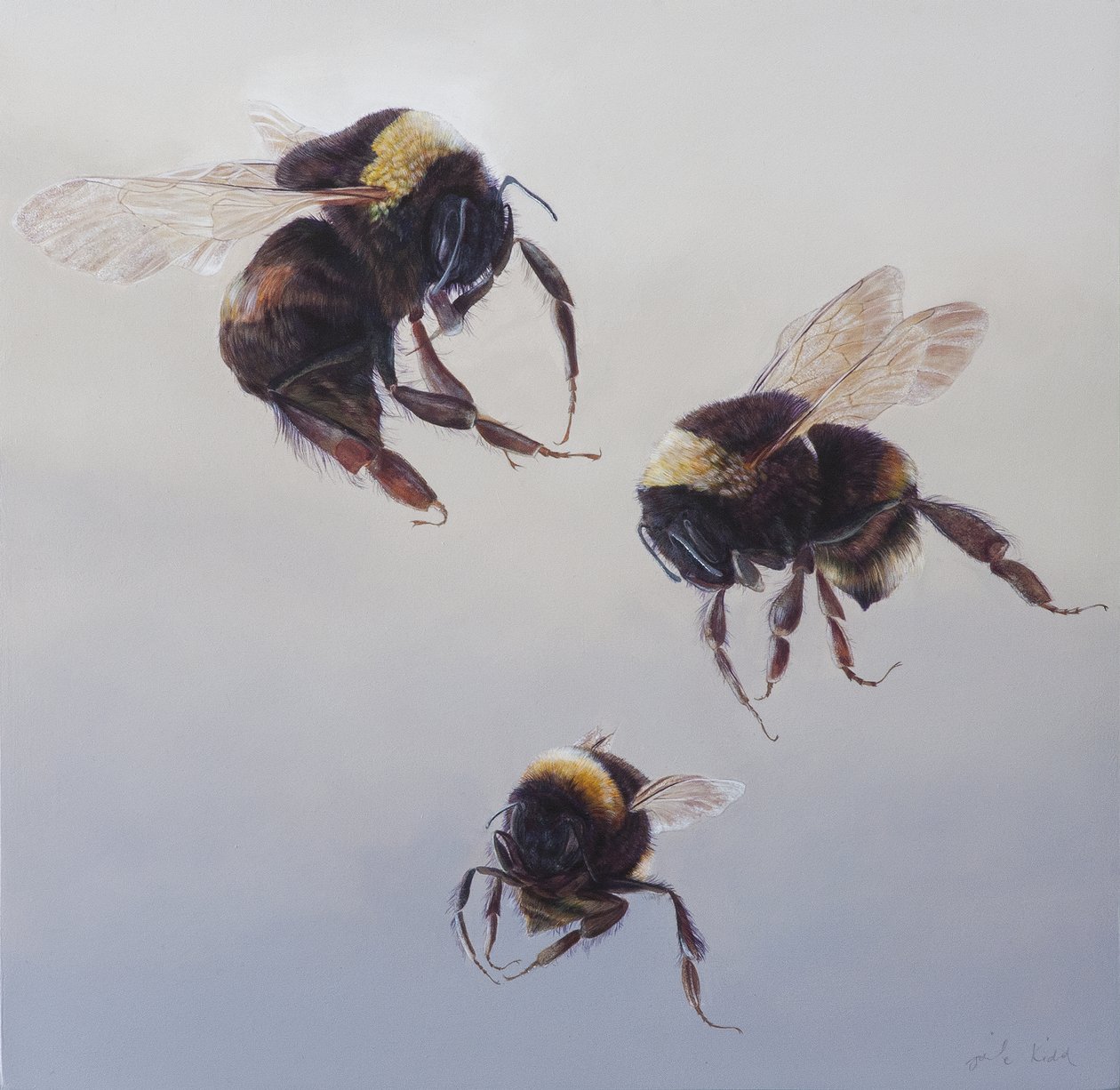 Bombus lot 1, 2011 (akryl na drewnie) autorstwa Odile Kidd