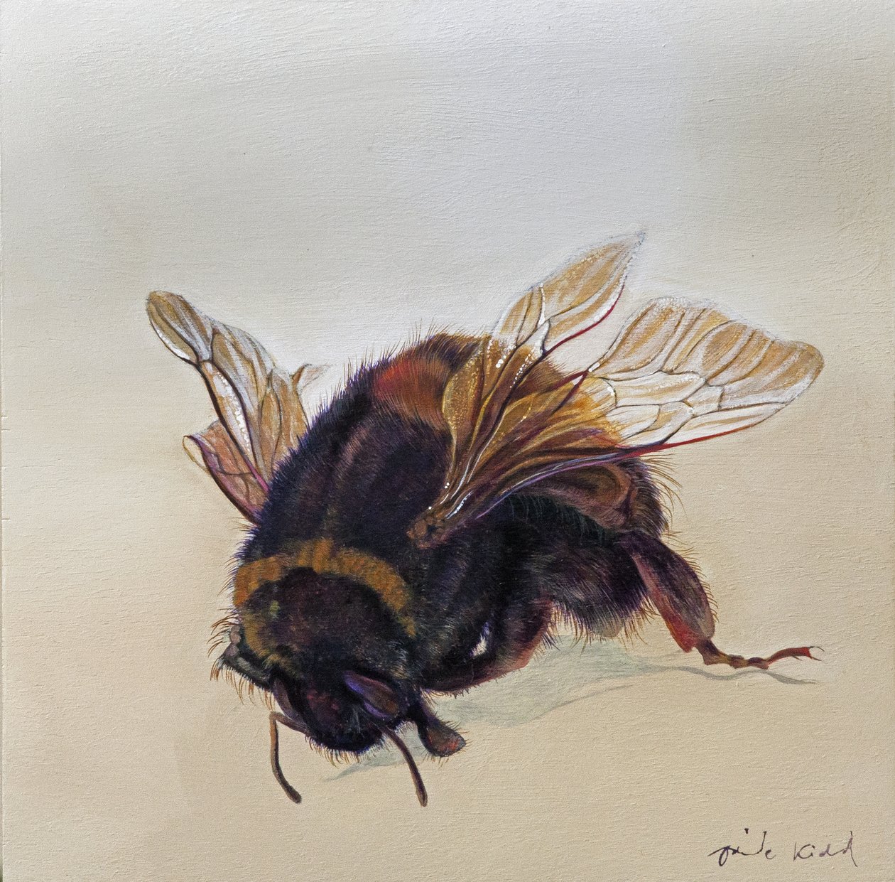 Bombus terrestris 10, 2013 (akryl na drewnie) autorstwa Odile Kidd