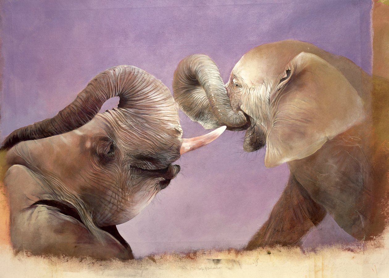 Elephants at Play, 2001 (akryl na płótnie) autorstwa Odile Kidd