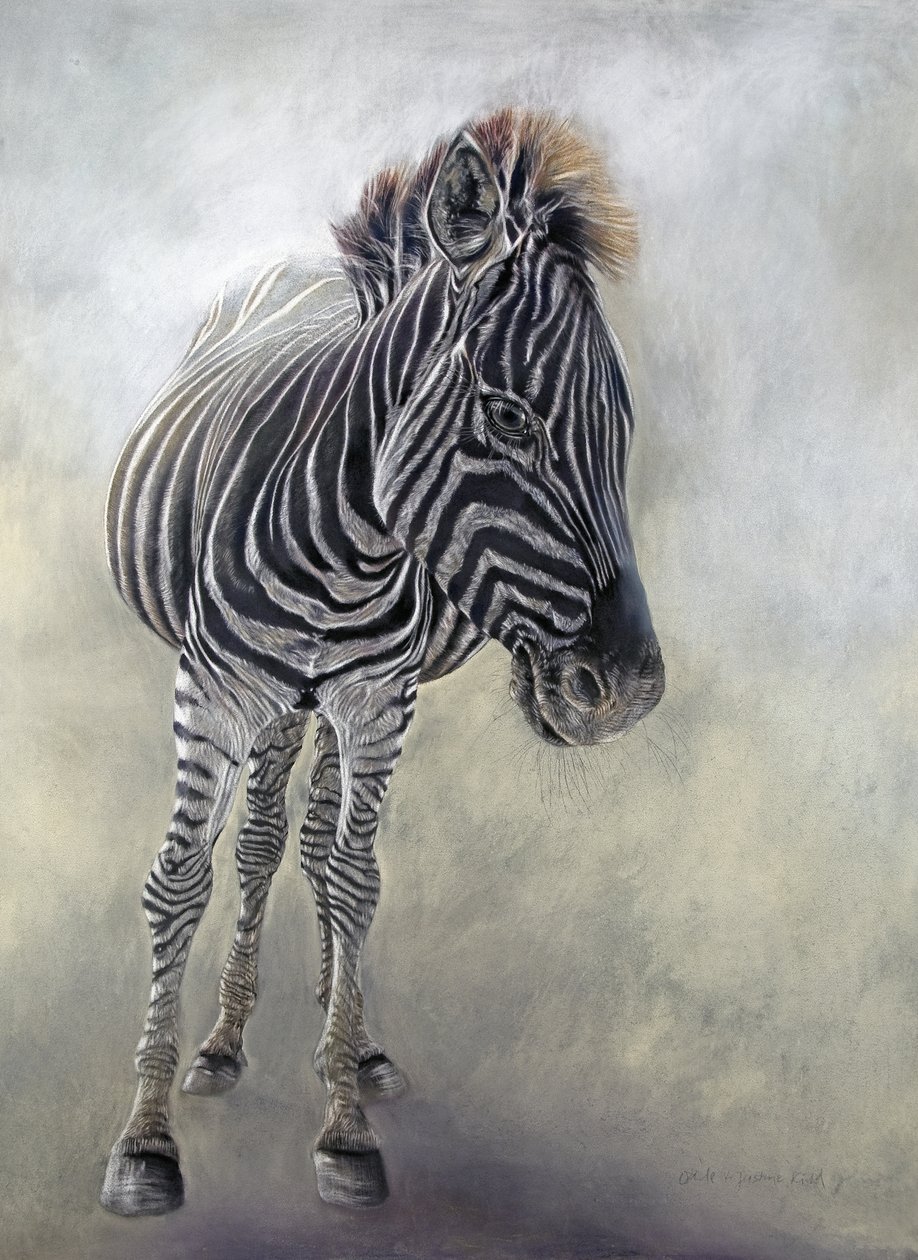 Equus burchelli 1, 2009 (węgiel, conte i pastel kredowy na papierze Bockingford) autorstwa Odile Kidd