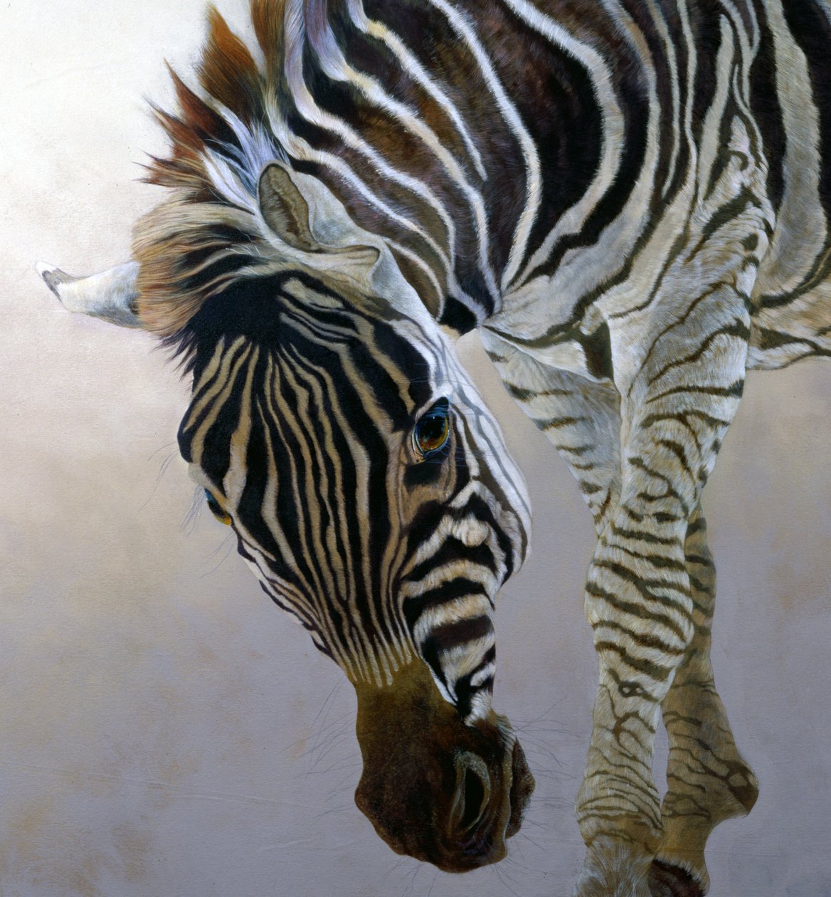 Equus burchelli 2 (detal), 2010 (akryl na płótnie) autorstwa Odile Kidd
