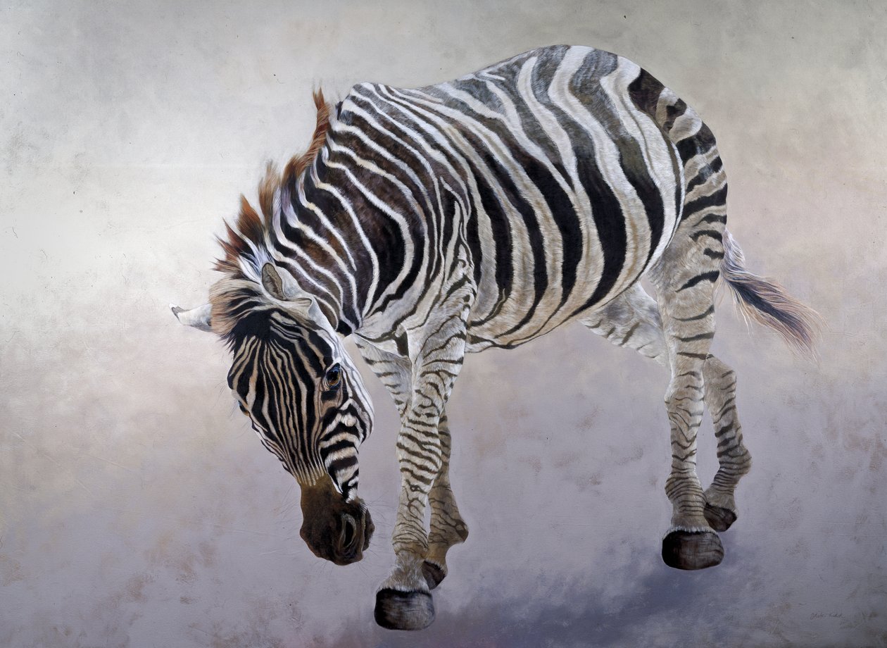 Equus burchelli 2, 2010 (akryl na płótnie) autorstwa Odile Kidd