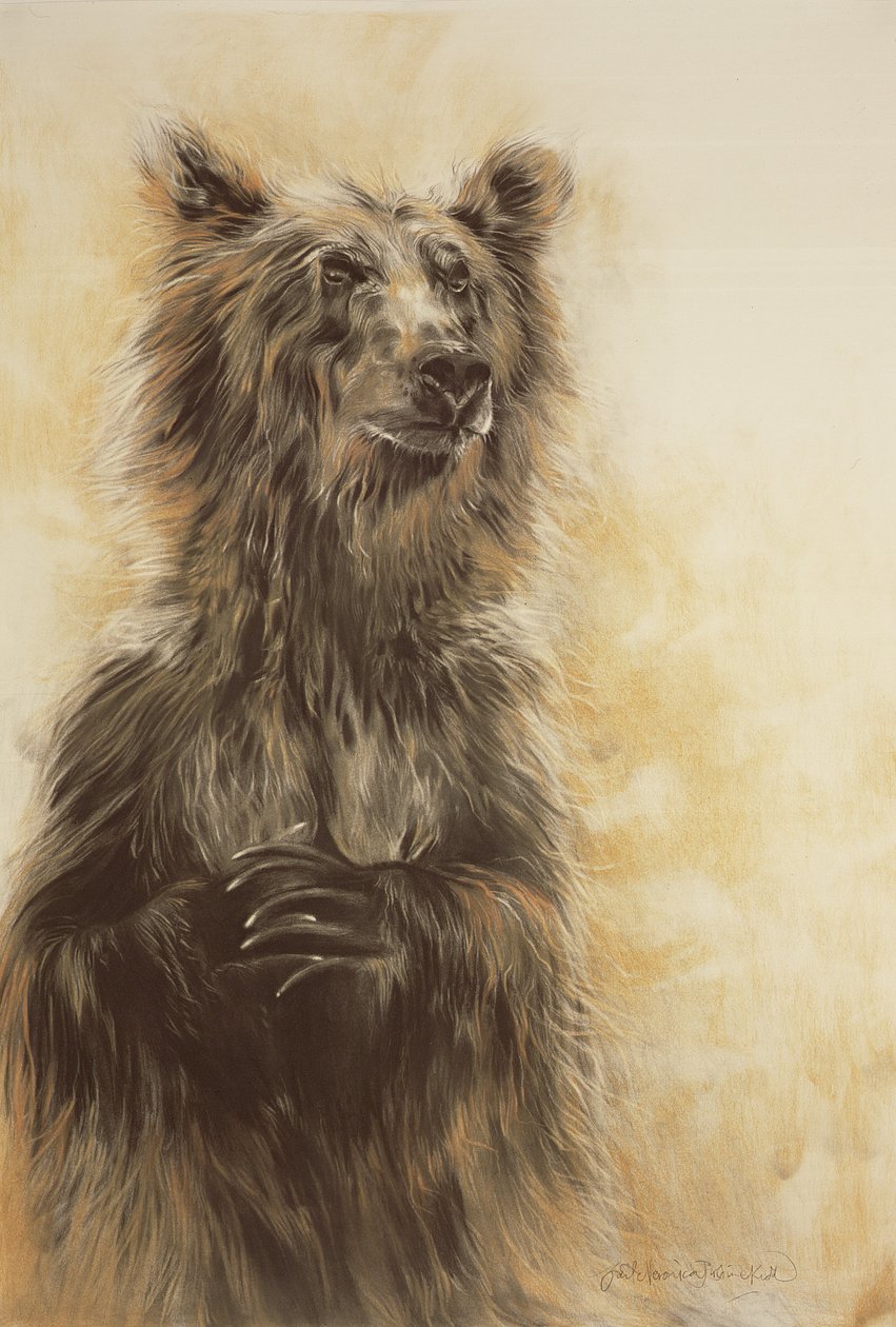 Niedźwiedź Grizzly 1, 2002 (ołówek, węgiel i kreda) autorstwa Odile Kidd