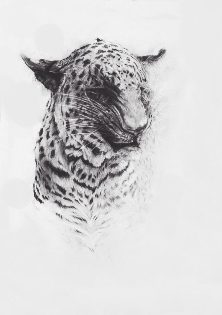 Leopard 2, 2004 (conte na papierze Fabriano) autorstwa Odile Kidd